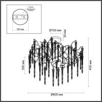 ЦБД-954678.jpg (1)