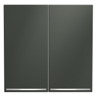 Render_front_VLS000406_w_standard