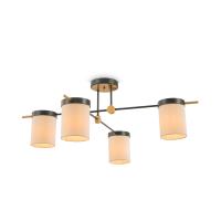 PHOTO_FR5377CL-04B_on_w_standard_(1)