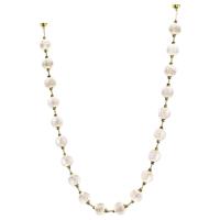 0acc91d9729e7a3346bf31c376f4edf4