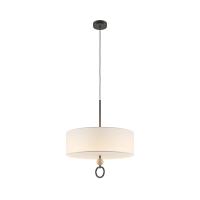 RENDER_MOD437PL-05B_on_w_standard