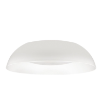 10229 White
