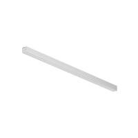 RENDER_311003_on_w_standard