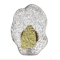 bf2b88cc56b47068b4c834531038c6bd