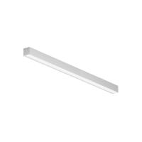 RENDER_311020_on_w_standard