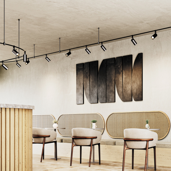 interior_TR201-1-15W3K-M-BBS_standard