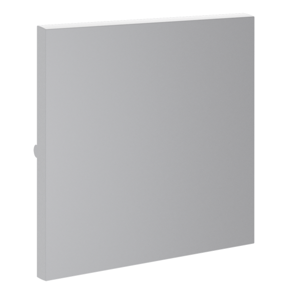 Render_right_VLS000116_w_standard