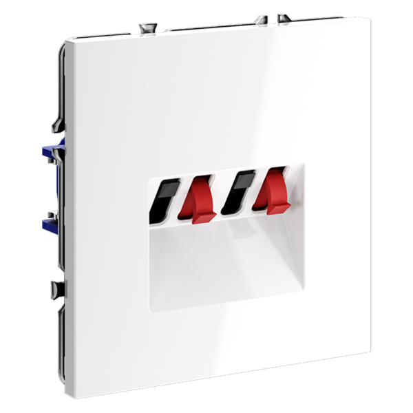 Renderright_VLS060301_w_standard