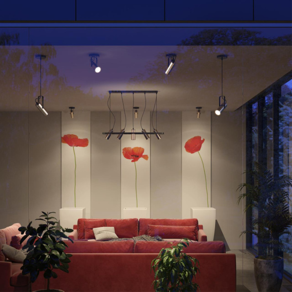 66fed49184c222d24272e730d1be594c