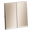Render_right_VLSM000410_w_standard