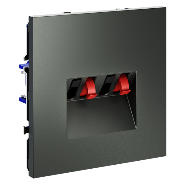 Renderright_VLS060306_w_standard