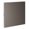 Render_right_VLS000114_w_standard