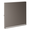 Render_right_VLS000214_w_standard