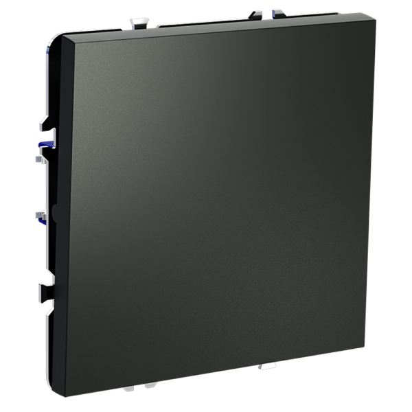 Renderright_VLS010506_w_standard